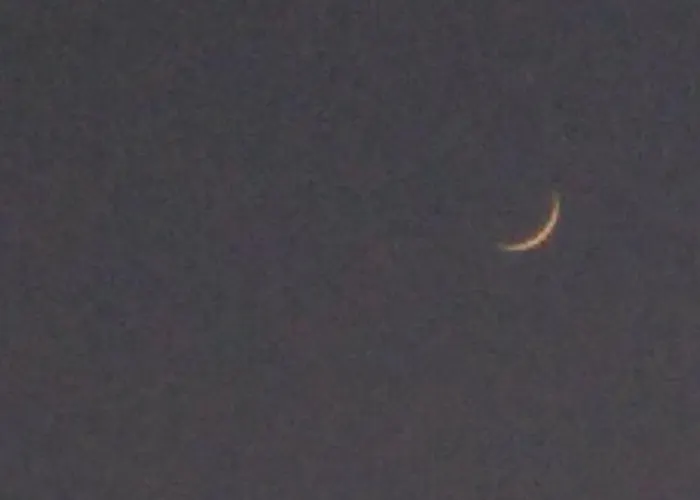 B&B 7 Moons 발렌시아